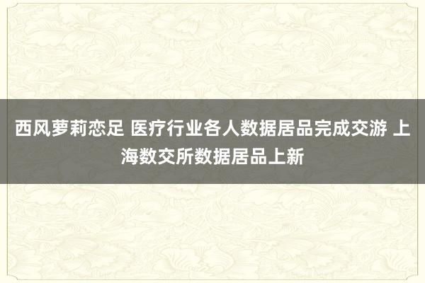 西风萝莉恋足 医疗行业各人数据居品完成交游 上海数交所数据居品上新